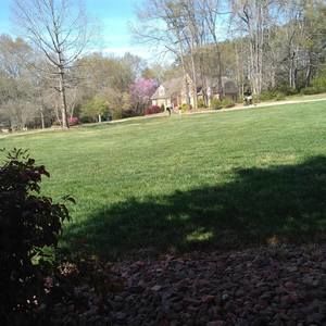 Meet your Posher, Eduar javier